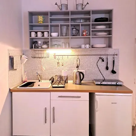 Magnificent In The Center Of Appartement Praag